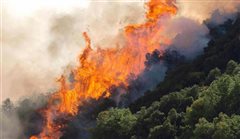 Προσήχθησαν δύο ανήλικοι για πρόκληση φωτιάς στη Χαλκιδική