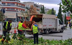 Κλαδεύουν τα δέντρα στην Καλαμαριά