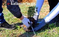 Καλαμαριά - Οι δράσεις για την εβδομάδα περιβάλλοντος σήμερα Πέμπτη