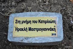 Καλαμαριά - Ένα κυπαρίσσι φυτεύτηκε για τον Ηρακλή Μαστρογιαννάκη