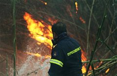 Μία σύλληψη για τη φωτιά στην Πυλαία