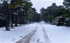 Πού χιονίζει στη Θεσσαλονίκη (φωτο - βιντεο)