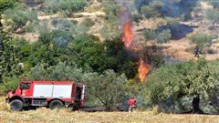 Υπό έλεγχο η φωτιά στην Βουρβουρού Χαλκιδικής